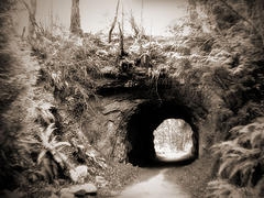 Tunnel Mid